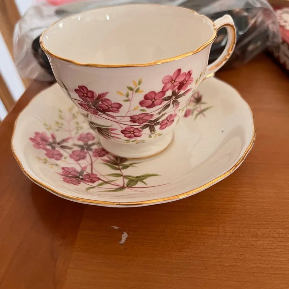 Vintage Royal Vale English Teacup Made in England Ridgeway Potteries